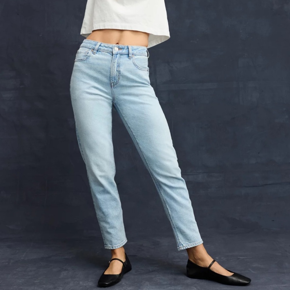 AE Strigid Mom Jean